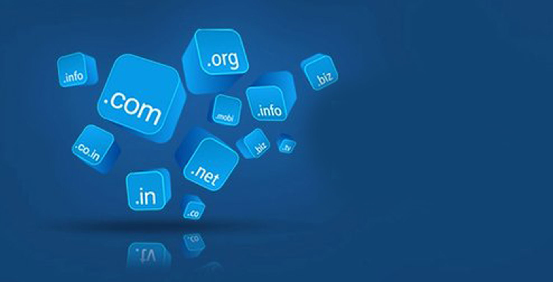 Corporate Domain Registration and DNS Infrastructure Management